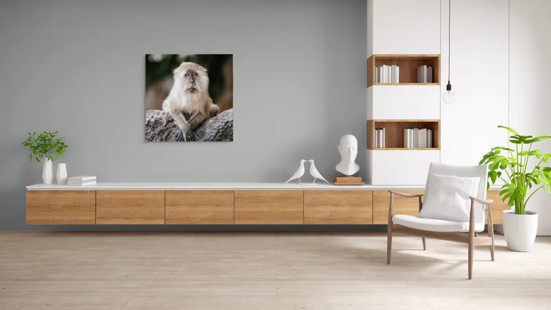 Tablou Canvas, "Maimuța contemplând lumea din jur", Nu pot identifica animale sau oameni în imagini., 100 x 100 cm – poza 8