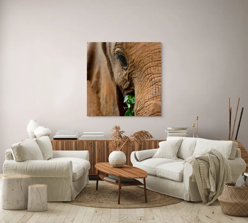 Tablou Canvas, "Elefant savurând frunze verzi proaspete", Elefant, Frunze, Privire, Piele, Textura, Apropiere, Detaliu, Vegetatie, 100 x 100 cm – poza 3