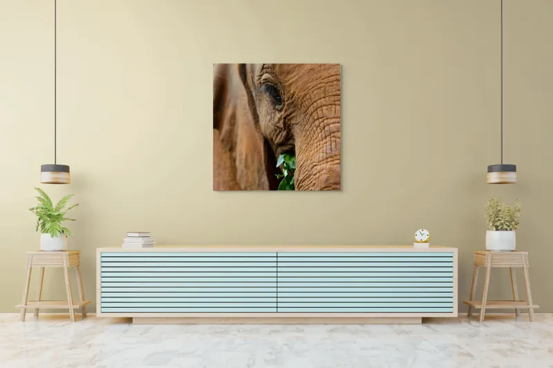 Tablou Canvas, "Elefant savurând frunze verzi proaspete", Elefant, Frunze, Privire, Piele, Textura, Apropiere, Detaliu, Vegetatie, 100 x 100 cm – poza 5