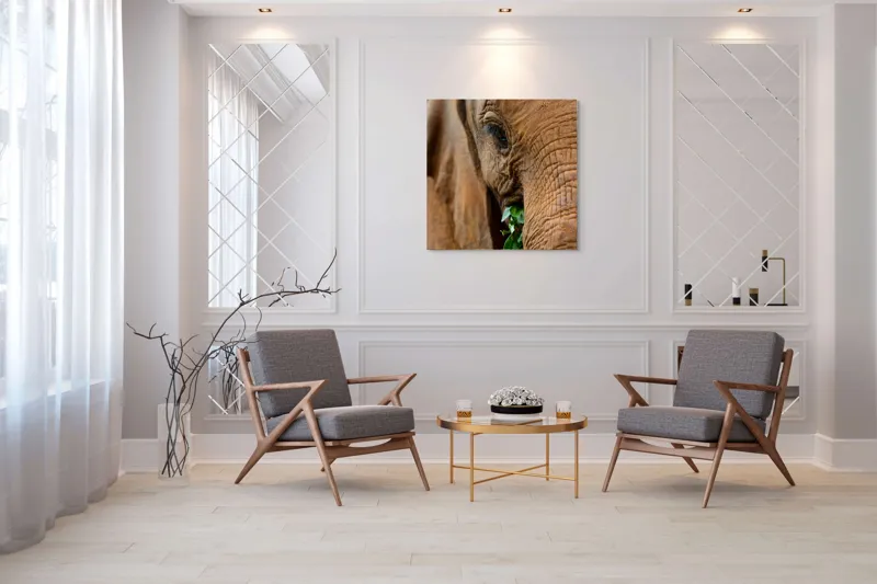 Tablou Canvas, "Elefant savurând frunze verzi proaspete", Elefant, Frunze, Privire, Piele, Textura, Apropiere, Detaliu, Vegetatie, 100 x 100 cm – poza 7