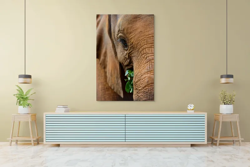 Tablou Canvas, "Elefant savurând frunze verzi proaspete", Elefant, Frunze, Privire, Piele, Textura, Apropiere, Detaliu, Vegetatie, 100 x 150 cm – poza 4