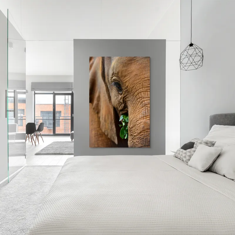 Tablou Canvas, "Elefant savurând frunze verzi proaspete", Elefant, Frunze, Privire, Piele, Textura, Apropiere, Detaliu, Vegetatie, 100 x 150 cm – poza 5