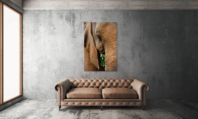 Tablou Canvas, "Elefant savurând frunze verzi proaspete", Elefant, Frunze, Privire, Piele, Textura, Apropiere, Detaliu, Vegetatie, 100 x 150 cm – poza 6