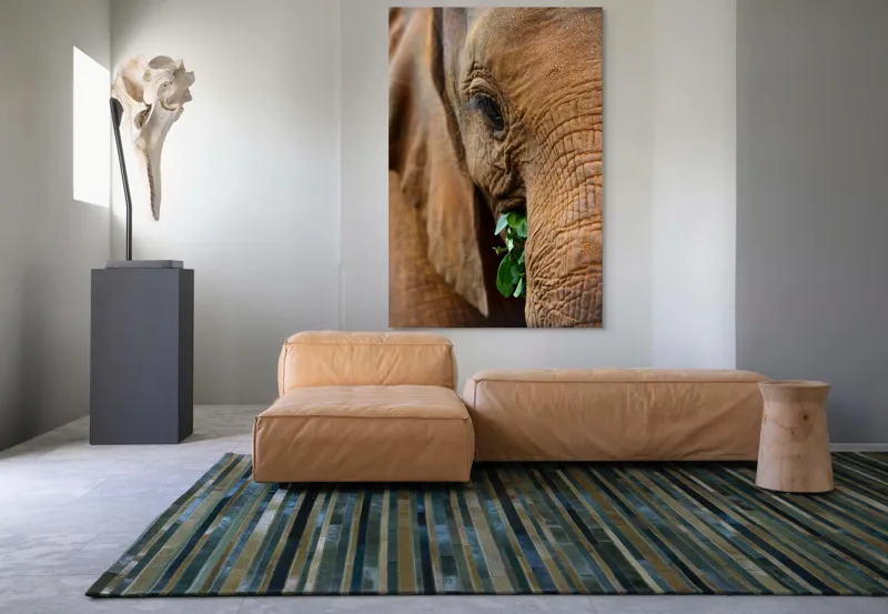 Tablou Canvas, "Elefant savurând frunze verzi proaspete", Elefant, Frunze, Privire, Piele, Textura, Apropiere, Detaliu, Vegetatie, 100 x 150 cm – poza 7