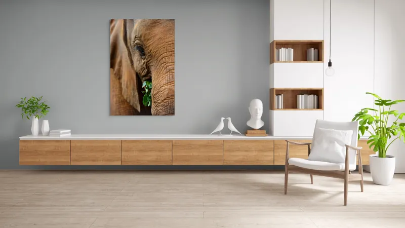 Tablou Canvas, "Elefant savurând frunze verzi proaspete", Elefant, Frunze, Privire, Piele, Textura, Apropiere, Detaliu, Vegetatie, 100 x 150 cm – poza 8