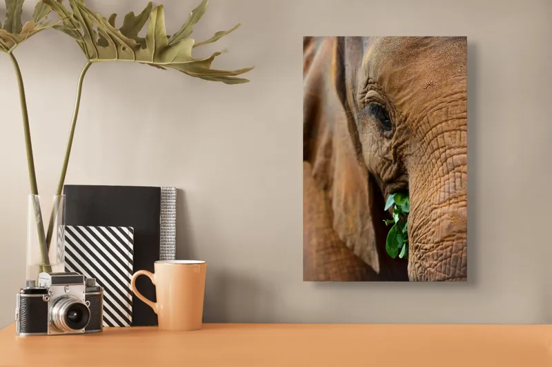 Tablou Canvas, "Elefant savurând frunze verzi proaspete", Elefant, Frunze, Privire, Piele, Textura, Apropiere, Detaliu, Vegetatie, 26 x 39 cm – poza 3