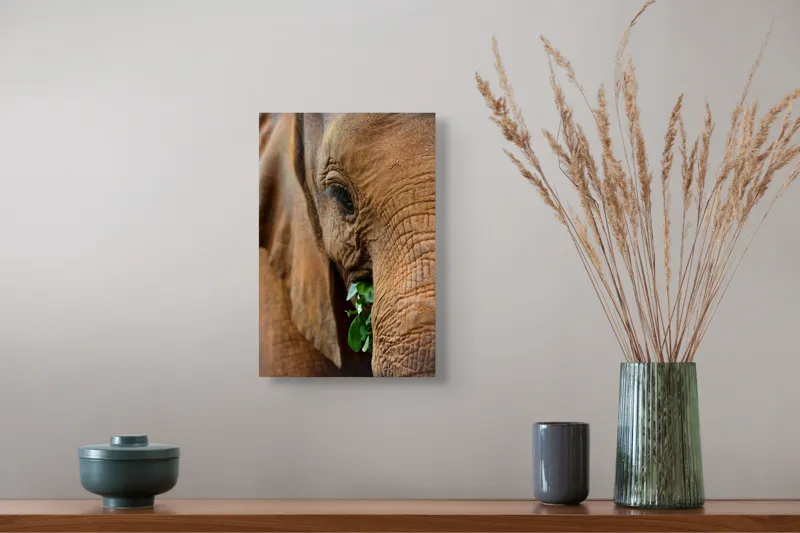 Tablou Canvas, "Elefant savurând frunze verzi proaspete", Elefant, Frunze, Privire, Piele, Textura, Apropiere, Detaliu, Vegetatie, 26 x 39 cm – poza 5