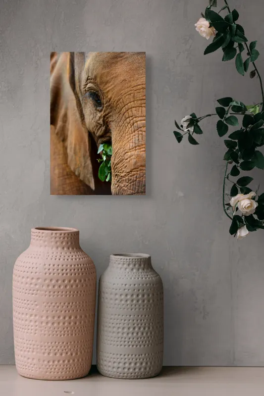 Tablou Canvas, "Elefant savurând frunze verzi proaspete", Elefant, Frunze, Privire, Piele, Textura, Apropiere, Detaliu, Vegetatie, 26 x 39 cm – poza 6