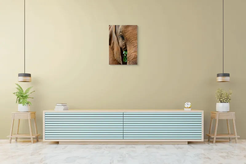Tablou Canvas, "Elefant savurând frunze verzi proaspete", Elefant, Frunze, Privire, Piele, Textura, Apropiere, Detaliu, Vegetatie, 50 x 70 cm – poza 6