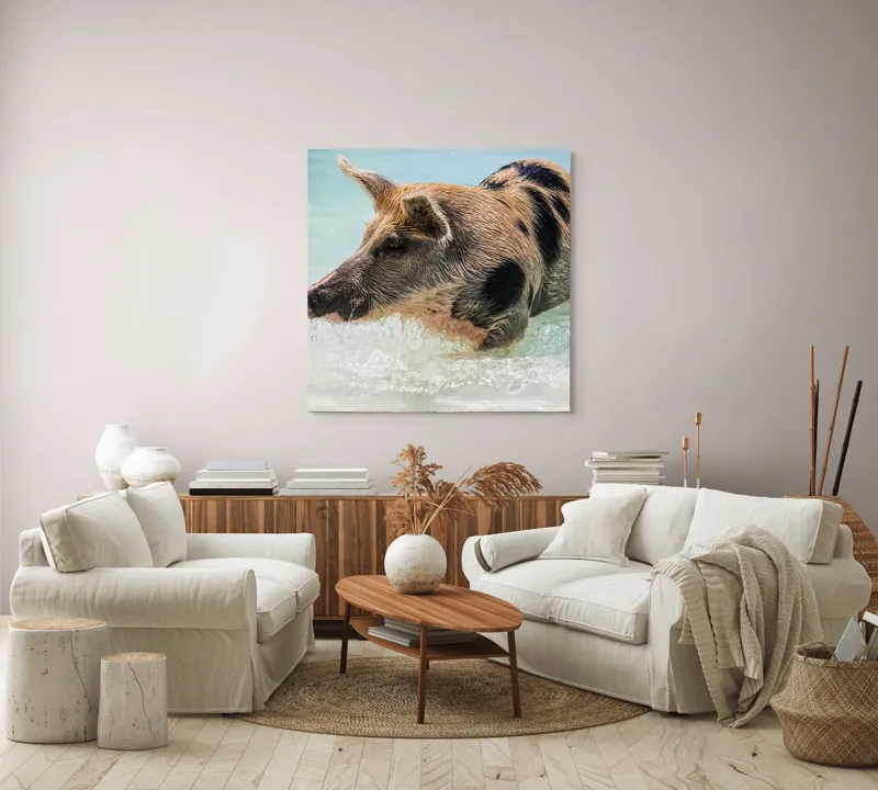 Tablou Canvas, "Porcul aventuros în mare albastră", Porc, Apă, Înot, Pete, Frumusețe, Natură, Joacă, Relaxare, 100 x 100 cm – poza 3