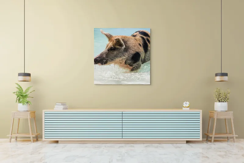 Tablou Canvas, "Porcul aventuros în mare albastră", Porc, Apă, Înot, Pete, Frumusețe, Natură, Joacă, Relaxare, 100 x 100 cm – poza 5