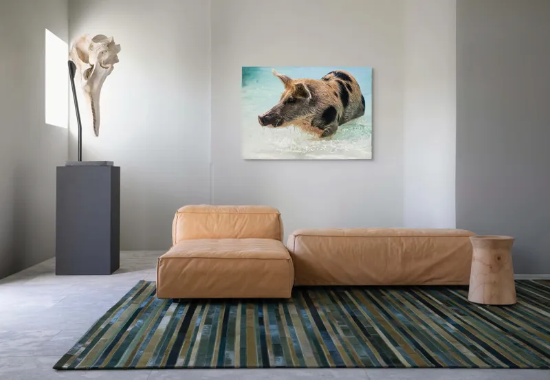 Tablou Canvas, "Porcul aventuros în mare albastră", Porc, Apă, Înot, Pete, Frumusețe, Natură, Joacă, Relaxare, 100 x 70 cm – poza 7