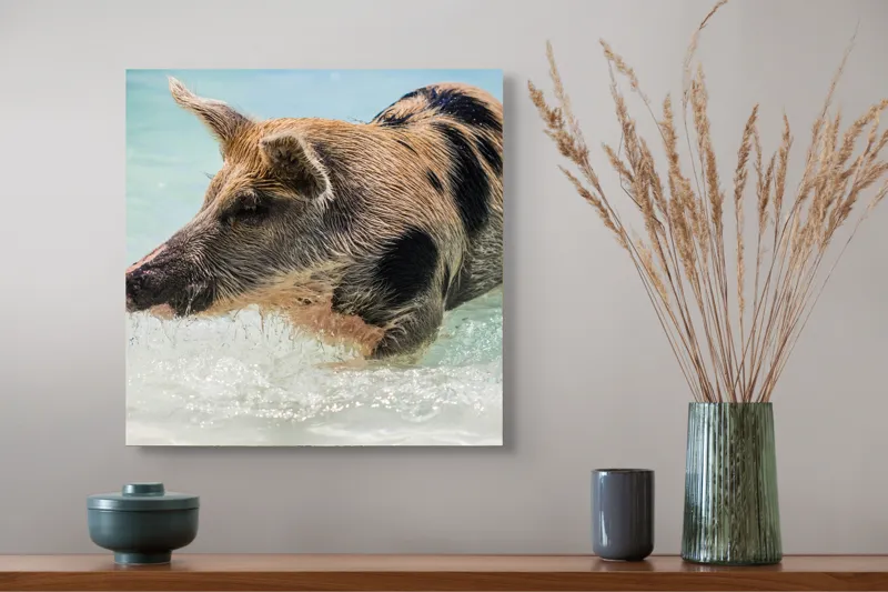 Tablou Canvas, "Porcul aventuros în mare albastră", Porc, Apă, Înot, Pete, Frumusețe, Natură, Joacă, Relaxare, 50 x 50 cm – poza 4