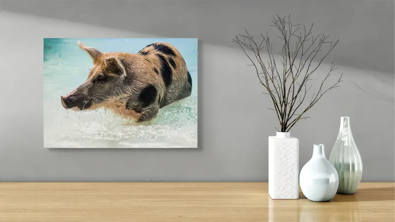 Tablou Canvas, "Porcul aventuros în mare albastră", Porc, Apă, Înot, Pete, Frumusețe, Natură, Joacă, Relaxare, 54 x 39 cm – poza 3
