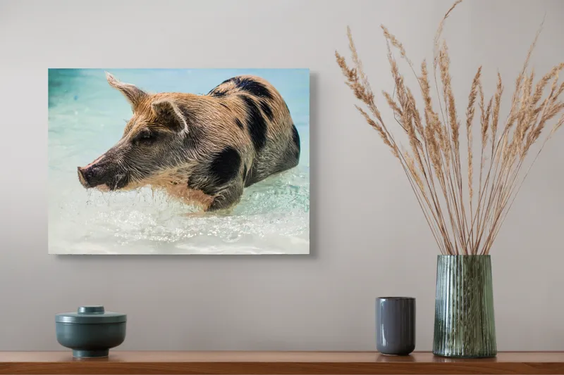 Tablou Canvas, "Porcul aventuros în mare albastră", Porc, Apă, Înot, Pete, Frumusețe, Natură, Joacă, Relaxare, 54 x 39 cm – poza 4