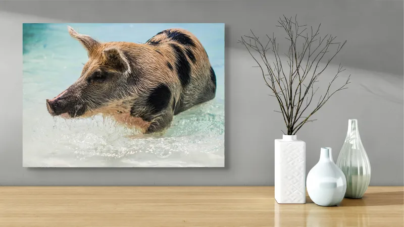 Tablou Canvas, "Porcul aventuros în mare albastră", Porc, Apă, Înot, Pete, Frumusețe, Natură, Joacă, Relaxare, 70 x 50 cm – poza 3