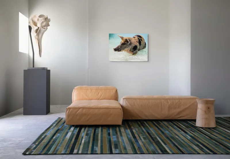 Tablou Canvas, "Porcul aventuros în mare albastră", Porc, Apă, Înot, Pete, Frumusețe, Natură, Joacă, Relaxare, 70 x 50 cm – poza 8