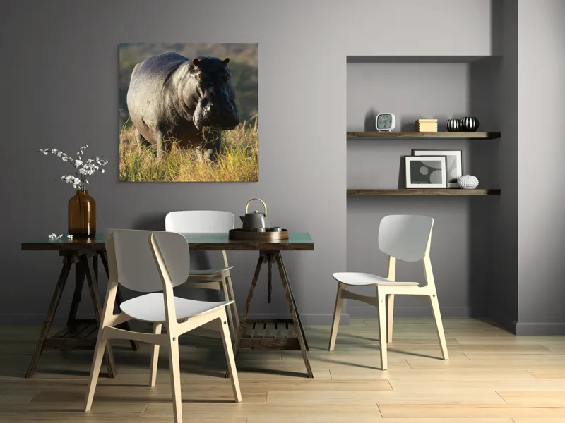 Tablou Canvas, "Hipopotam la apus de soare", Hipopotam, Iarbă, Apus, Safari, Sălbăticie, Natură, Peisaj, 100 x 100 cm – poza 6