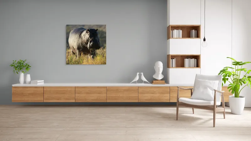 Tablou Canvas, "Hipopotam la apus de soare", Hipopotam, Iarbă, Apus, Safari, Sălbăticie, Natură, Peisaj, 100 x 100 cm – poza 8