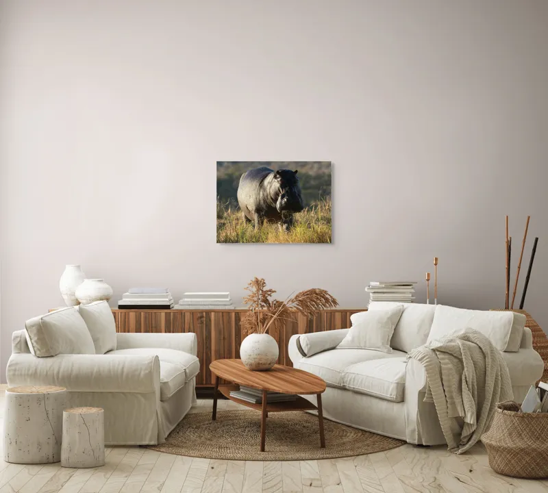 Tablou Canvas, "Hipopotam la apus de soare", Hipopotam, Iarbă, Apus, Safari, Sălbăticie, Natură, Peisaj, 70 x 50 cm – poza 6
