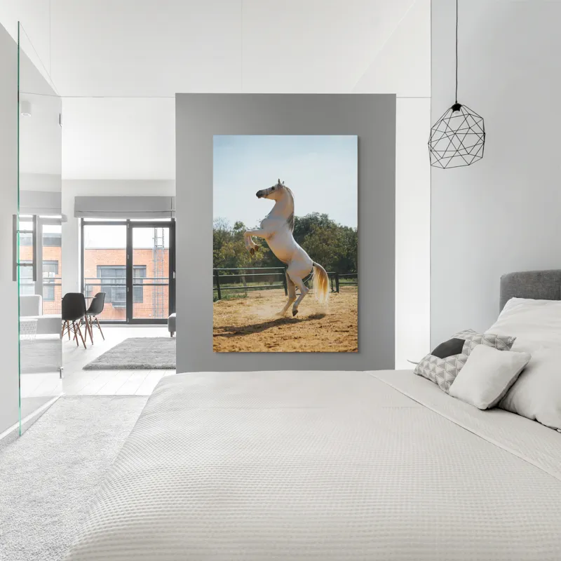 Tablou Canvas, "Cal alb în splendoarea dimineții", Cal, Majestuos, Alb, Galopant, Energie, Natură, Frumusețe, Libertate, Grație, Putere, 100 x 150 cm – poza 5