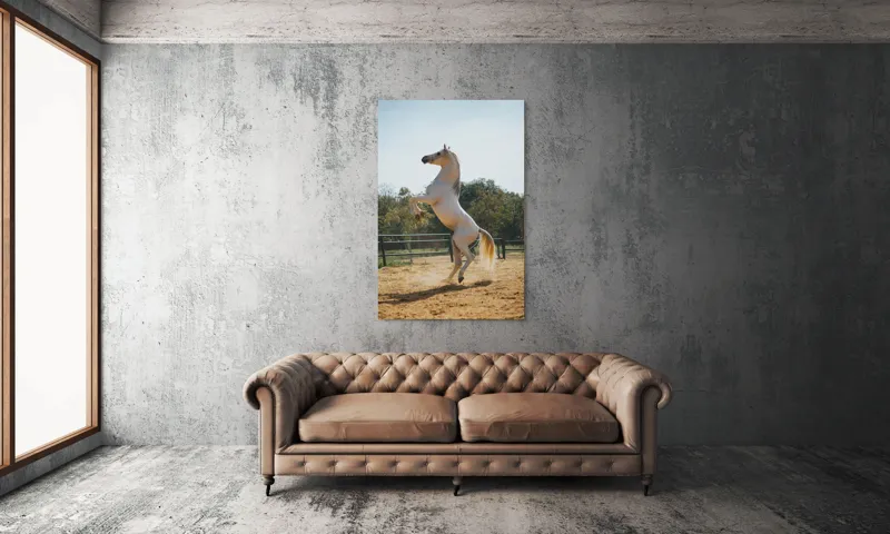Tablou Canvas, "Cal alb în splendoarea dimineții", Cal, Majestuos, Alb, Galopant, Energie, Natură, Frumusețe, Libertate, Grație, Putere, 100 x 150 cm – poza 6