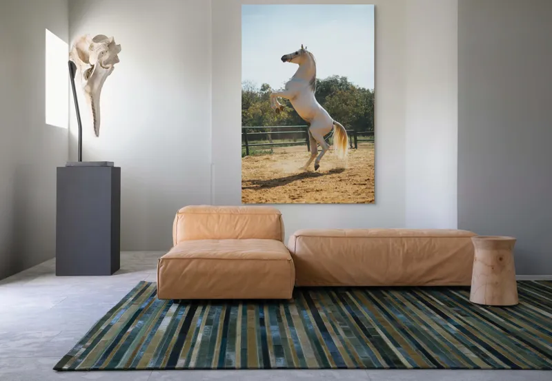 Tablou Canvas, "Cal alb în splendoarea dimineții", Cal, Majestuos, Alb, Galopant, Energie, Natură, Frumusețe, Libertate, Grație, Putere, 100 x 150 cm – poza 7