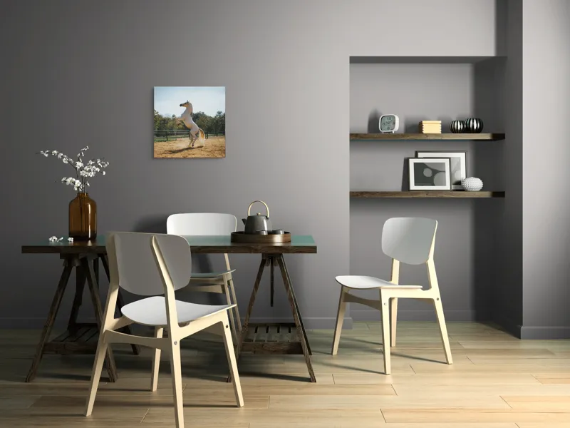 Tablou Canvas, "Cal alb în splendoarea dimineții", Cal, Majestuos, Alb, Galopant, Energie, Natură, Frumusețe, Libertate, Grație, Putere, 50 x 50 cm – poza 8