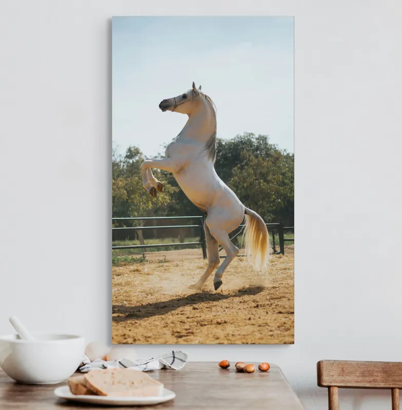 Tablou Canvas, "Cal alb în splendoarea dimineții", Cal, Majestuos, Alb, Galopant, Energie, Natură, Frumusețe, Libertate, Grație, Putere, 50 x 90 cm – poza 3