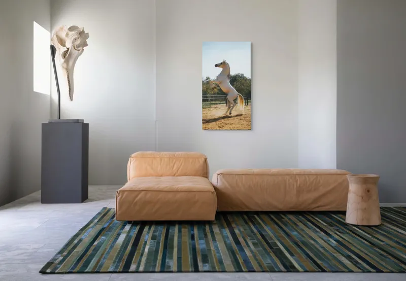 Tablou Canvas, "Cal alb în splendoarea dimineții", Cal, Majestuos, Alb, Galopant, Energie, Natură, Frumusețe, Libertate, Grație, Putere, 50 x 90 cm – poza 5