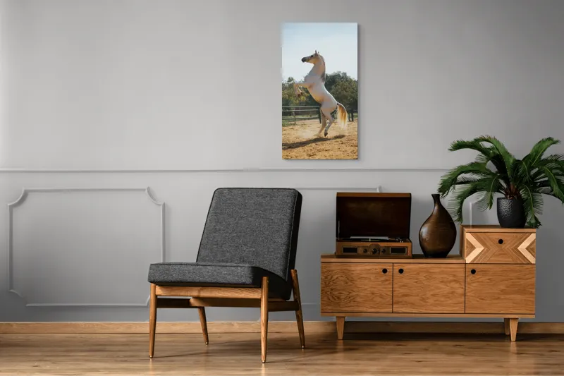 Tablou Canvas, "Cal alb în splendoarea dimineții", Cal, Majestuos, Alb, Galopant, Energie, Natură, Frumusețe, Libertate, Grație, Putere, 50 x 90 cm – poza 8