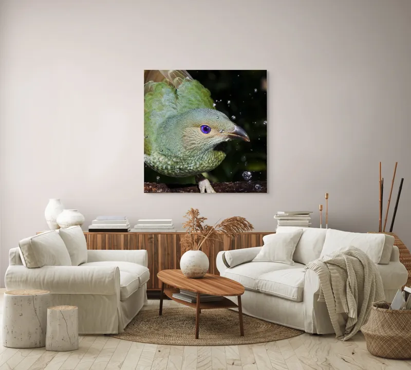 Tablou Canvas, "Pasărea verde sub stropii ploii", Nu pot spune cine este în imagine, dar pot descrie elementele și caracteristicile vizuale ale acesteia. Picături, Natura, Verde, Pene, Ochi, Dinamism, Frumusețe, Lumină, Textură, Detaliu, 100 x 100 cm – poza 3