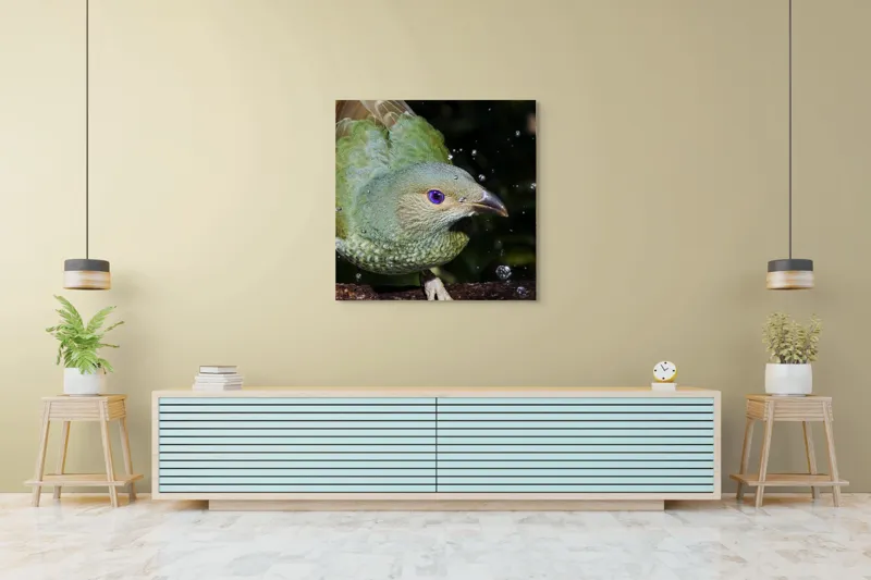 Tablou Canvas, "Pasărea verde sub stropii ploii", Nu pot spune cine este în imagine, dar pot descrie elementele și caracteristicile vizuale ale acesteia. Picături, Natura, Verde, Pene, Ochi, Dinamism, Frumusețe, Lumină, Textură, Detaliu, 100 x 100 cm – poza 5