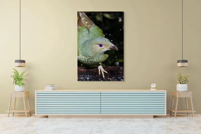 Tablou Canvas, "Pasărea verde sub stropii ploii", 100 x 150 cm – poza 4