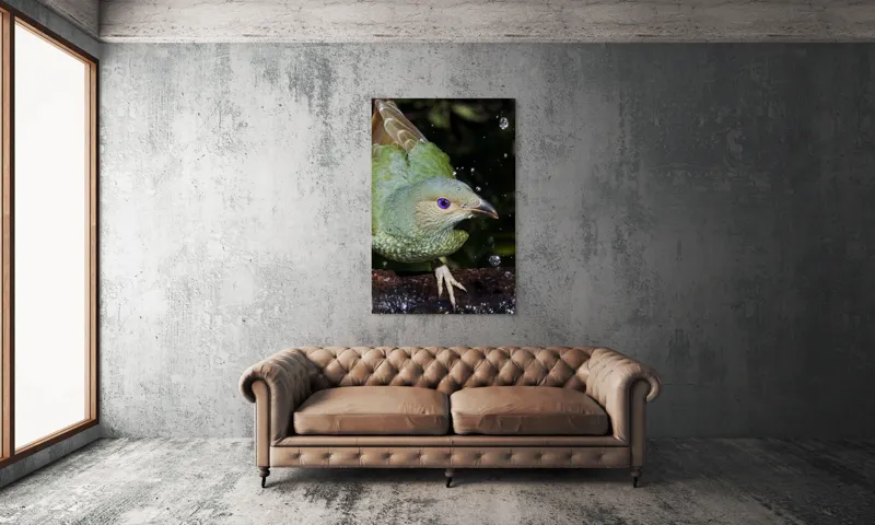 Tablou Canvas, "Pasărea verde sub stropii ploii", 100 x 150 cm – poza 6