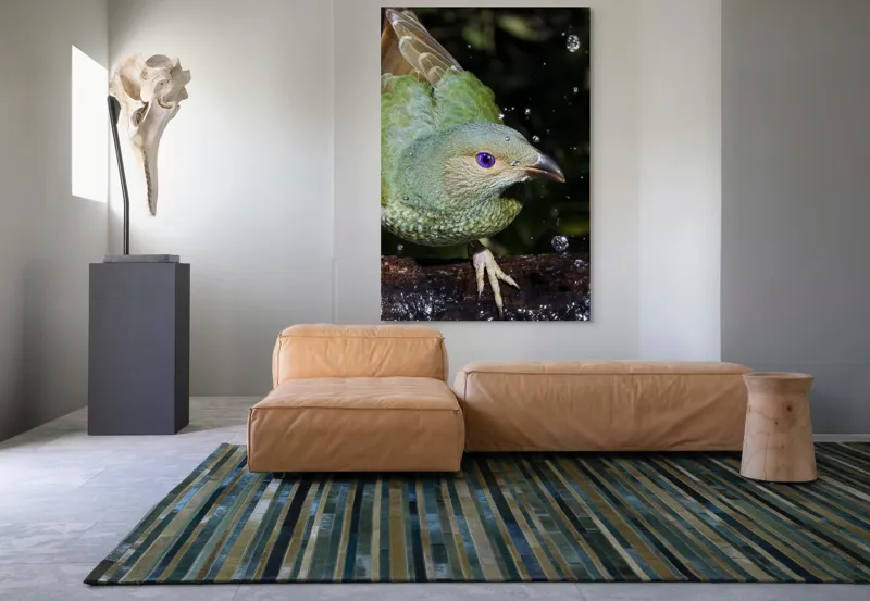 Tablou Canvas, "Pasărea verde sub stropii ploii", 100 x 150 cm – poza 7