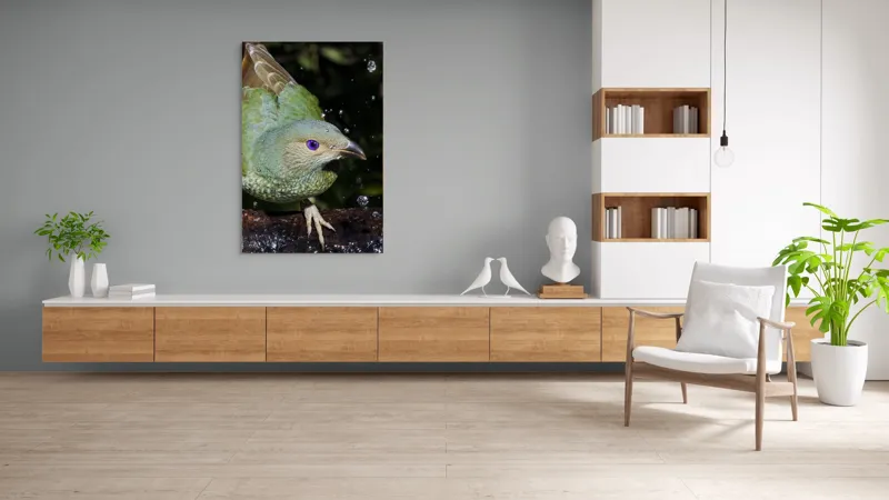 Tablou Canvas, "Pasărea verde sub stropii ploii", 100 x 150 cm – poza 8