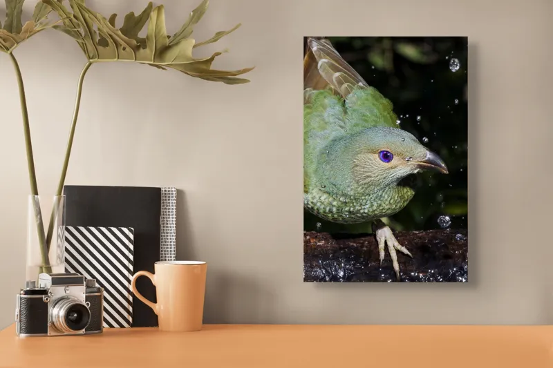 Tablou Canvas, "Pasărea verde sub stropii ploii", Nu pot spune cine este în imagine, dar pot descrie elementele și caracteristicile vizuale ale acesteia. Picături, Natura, Verde, Pene, Ochi, Dinamism, Frumusețe, Lumină, Textură, Detaliu, 26 x 39 cm – poza 3