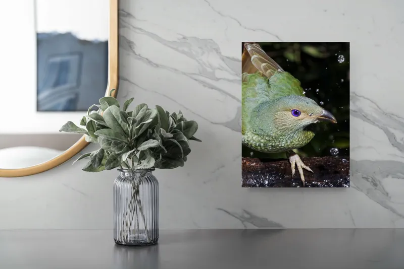 Tablou Canvas, "Pasărea verde sub stropii ploii", Nu pot spune cine este în imagine, dar pot descrie elementele și caracteristicile vizuale ale acesteia. Picături, Natura, Verde, Pene, Ochi, Dinamism, Frumusețe, Lumină, Textură, Detaliu, 26 x 39 cm – poza 4