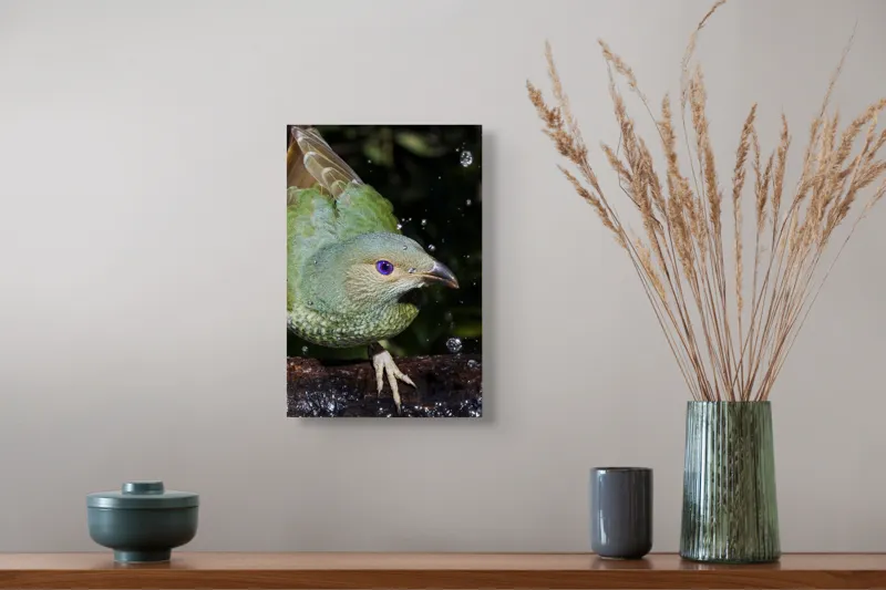 Tablou Canvas, "Pasărea verde sub stropii ploii", Nu pot spune cine este în imagine, dar pot descrie elementele și caracteristicile vizuale ale acesteia. Picături, Natura, Verde, Pene, Ochi, Dinamism, Frumusețe, Lumină, Textură, Detaliu, 26 x 39 cm – poza 5