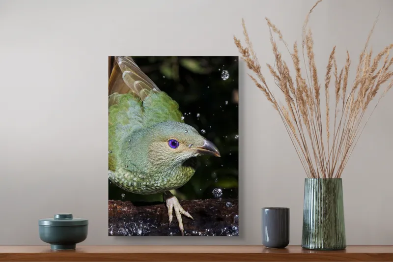 Tablou Canvas, "Pasărea verde sub stropii ploii", 39 x 54 cm – poza 3