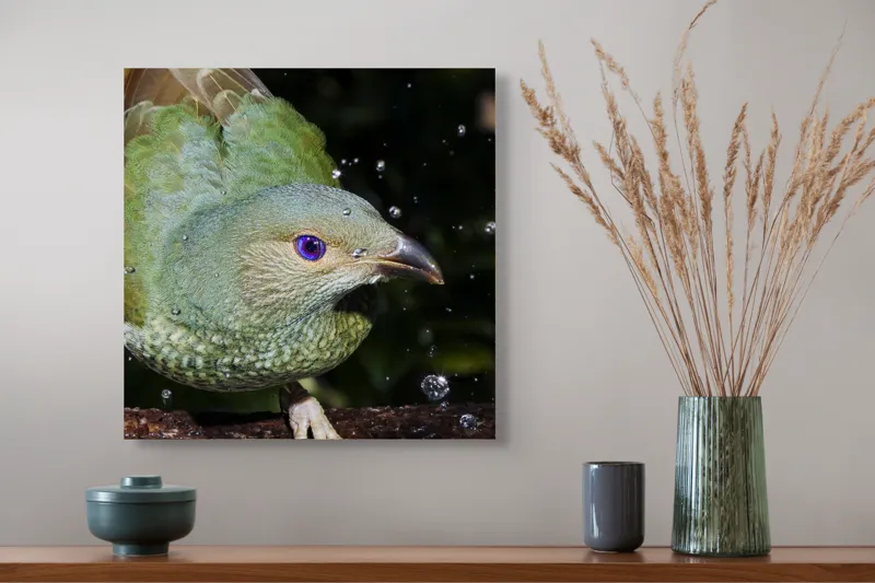 Tablou Canvas, "Pasărea verde sub stropii ploii", 50 x 50 cm – poza 4