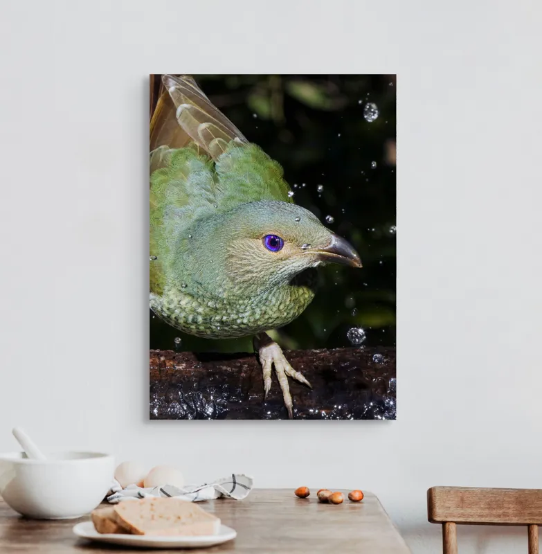 Tablou Canvas, "Pasărea verde sub stropii ploii", 50 x 70 cm – poza 3