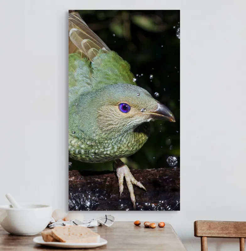 Tablou Canvas, "Pasărea verde sub stropii ploii", Nu pot spune cine este în imagine, dar pot descrie elementele și caracteristicile vizuale ale acesteia. Picături, Natura, Verde, Pene, Ochi, Dinamism, Frumusețe, Lumină, Textură, Detaliu, 50 x 90 cm – poza 3