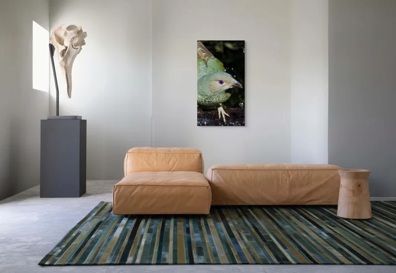 Tablou Canvas, "Pasărea verde sub stropii ploii", Nu pot spune cine este în imagine, dar pot descrie elementele și caracteristicile vizuale ale acesteia. Picături, Natura, Verde, Pene, Ochi, Dinamism, Frumusețe, Lumină, Textură, Detaliu, 50 x 90 cm – poza 5