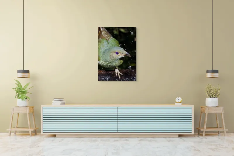 Tablou Canvas, "Pasărea verde sub stropii ploii", 70 x 100 cm – poza 5