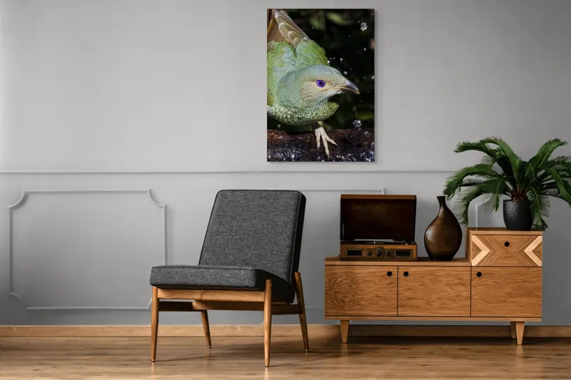 Tablou Canvas, "Pasărea verde sub stropii ploii", 70 x 100 cm – poza 6