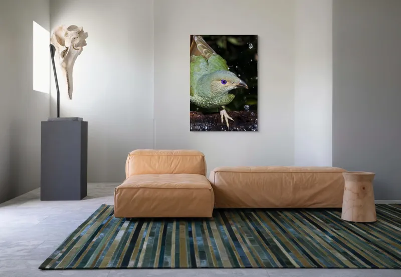 Tablou Canvas, "Pasărea verde sub stropii ploii", 70 x 100 cm – poza 7