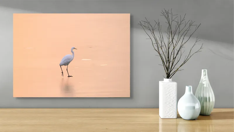 Tablou Canvas, "Egreta pășind pe ape aurii", Calm, Serene, Graceful, Solitary, Peaceful, 70 x 50 cm – poza 3