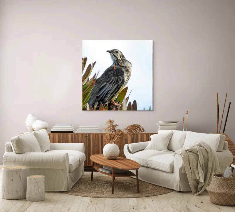 Tablou Canvas, "Pasărea mândră pe ramură verde", Pasăre, Frunze, Penaj, Cer, Natură, 100 x 100 cm – poza 3